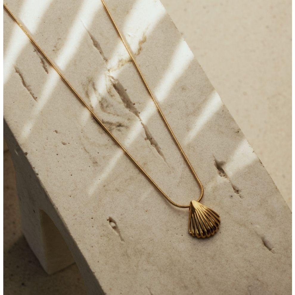 Alessandra Shell Necklace