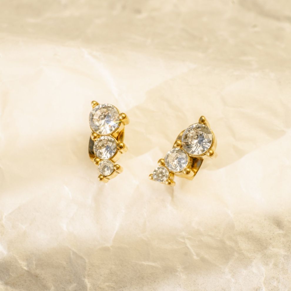 Paz Zirconia Stud Earrings