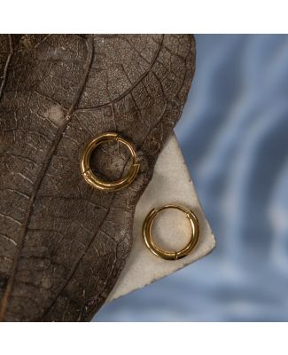 Bianca Hoop earrings