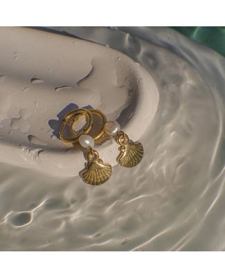 Carla Alessandra Shell Bundle